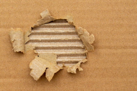 close up of torn cardboard top layer backgroundの写真素材