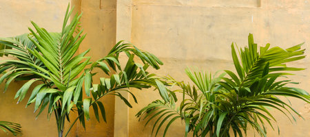 background wall with textured paint patternの写真素材