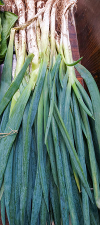 green onion leavesの写真素材