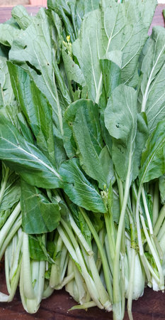 fresh green mustard greensの写真素材