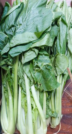 fresh green mustard greensの写真素材