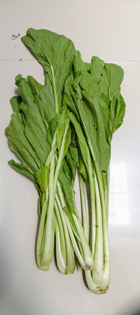 fresh green mustard greensの写真素材