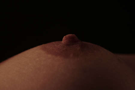 The  bodyの写真素材