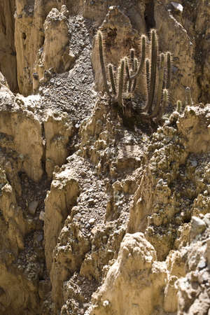 The Valle de la Luna (Valley of the Moon) is a bizarre, almost lunar landscape formed by the erosion of salt mountains. の写真素材