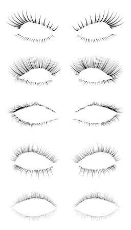 Five different eyelashes in an editable  file, great for illustration compositions.のイラスト素材