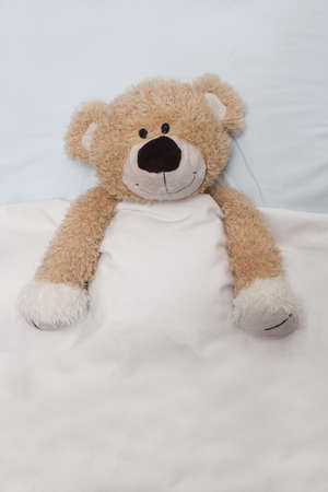 An adorable teddy bear laying in bed, under the sheets.の写真素材