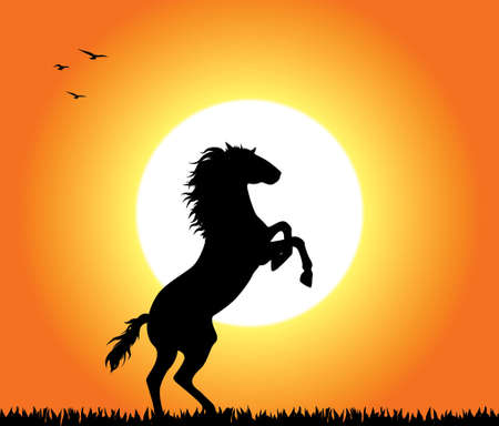 A horse rearing at sunset. Editable vector illustration.のイラスト素材