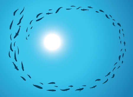 A school or shoal of fish, from below, with the sun above