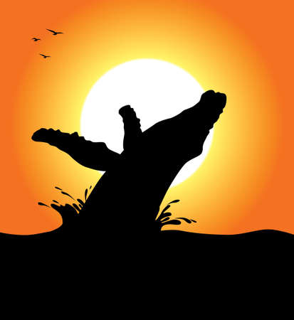 A humpback whale silhouette jumping at sunsetのイラスト素材