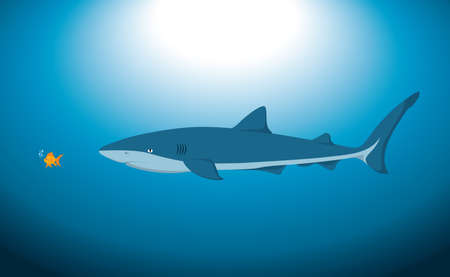 A big shark and a small fish underwater, in a vector illustration.のイラスト素材