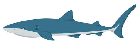 A shark isolated on a white background. No gradients or transparencies in this vector illustration.のイラスト素材