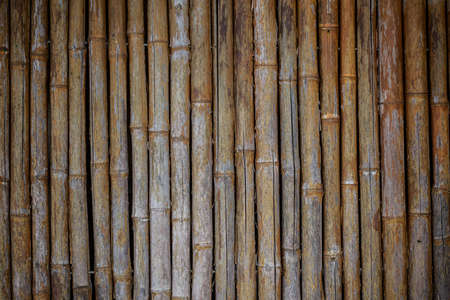 A close-up image of a bamboo wall texture background  Check out other textures in my portfolio の写真素材