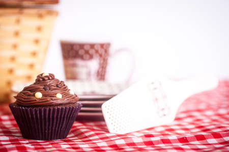 A picnic with a delicious cupcake and a beautiful picnic basket!の写真素材