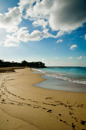 Image of a Maui beach with footprints in the sand and tropical clouds above
