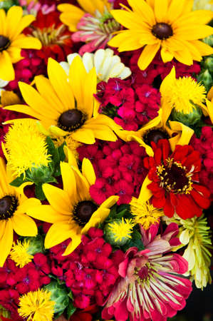 A red and yellow bouquet of daisies, thistles, dahlias and dianthusの写真素材