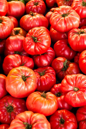 Pile of shiny red organic heirloom tomatoes in a farmers' marketの写真素材