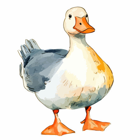 Duck isolated on white background. Watercolor hand drawn illustration.のイラスト素材
