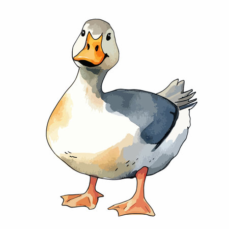 Illustration of a duck on a white background. Vector illustration.のイラスト素材