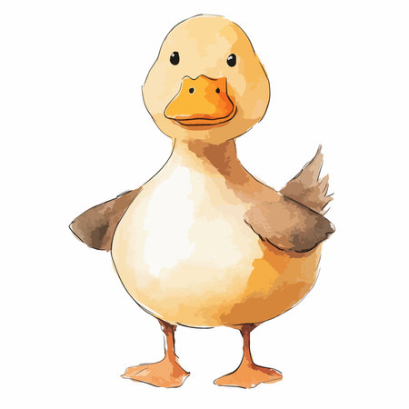 Cute duck isolated on white background. Watercolor vector illustration.のイラスト素材