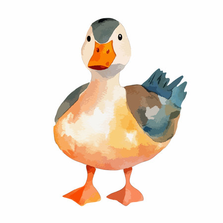Watercolor duck on a white background. Vector illustration, eps 10のイラスト素材