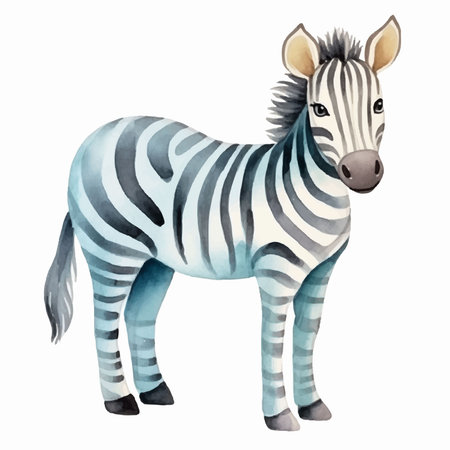 Watercolor zebra. Hand drawn illustration isolated on white background.のイラスト素材