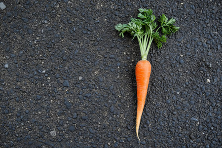Carrot on the road. Organic food concept. Top view.