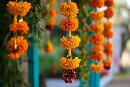 Flower garland with orange marigold flowers in the gardenの写真素材