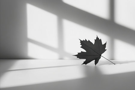 Autumn maple leaf on a white background with shadows from the window