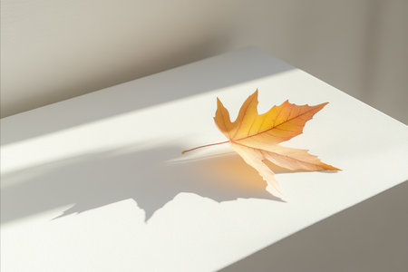 A single, vibrant autumn leaf rests on a white surface, casting a shadow in the sunlight.