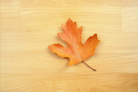 A vibrant orange maple leaf rests on a light-colored wooden surface, showcasing the beauty of fall...
