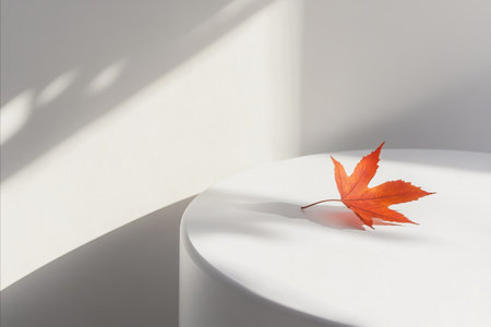 Maple leaf on white table with shadow on white wall. Autumn background.の写真素材
