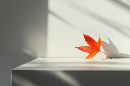 Autumn maple leaf on white background with shadow from window. Minimal concept.