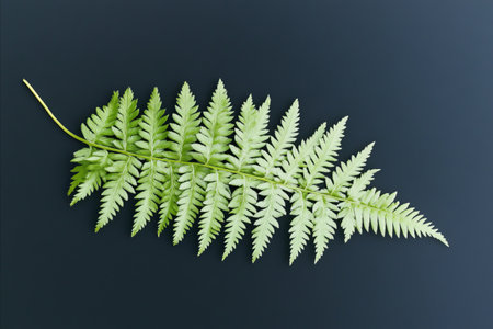A single, vibrant green fern leaf is isolated against a dark backdrop, highlighting its intricate...