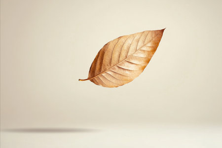 A single dried leaf floats in the air against a beige background. The leaf is brown with visible...