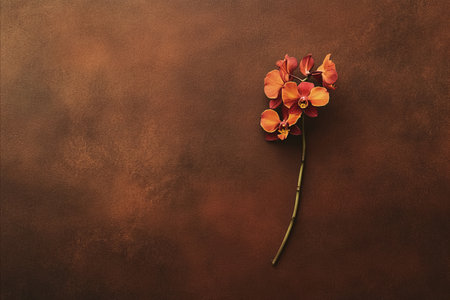 A single stem of a beautiful orange and red orchid flower lies on a dark, moody, textured brown...