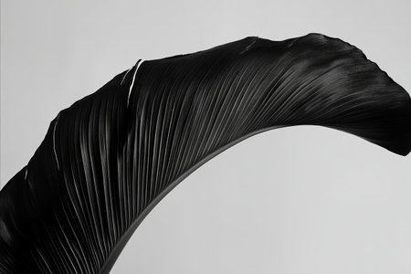 A dramatic black and white macro shot of a large tropical leaf. The elegant curve and detailed...