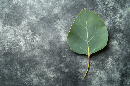 A single, vibrant green leaf rests on a textured, dark gray surface, showcasing intricate details.