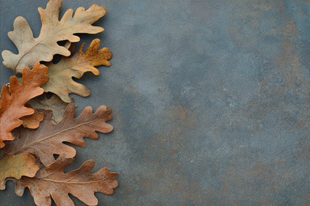 Dry oak leaves on grey background, top view. Space for textの写真素材