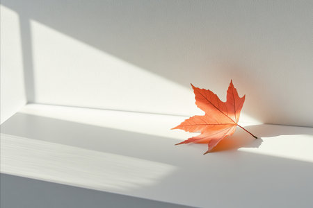 A vibrant orange maple leaf rests on a white surface, illuminated by sunlight, creating a striking...