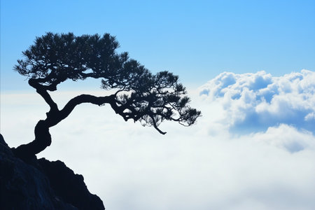 A lone pine tree silhouetted against a dramatic mountaintop, with a hazy sky of clouds and a clear...