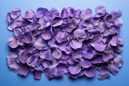 Overhead shot of a pile of purple flower petals scattered on a blue surface, creating a textured and colorful floral arrangement.の写真素材