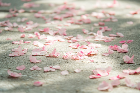 Scattered pink petals on a textured gray surface, creating a delicate and natural scene with soft...