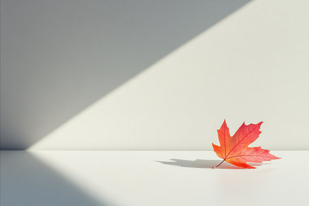A single vibrant red maple leaf rests on a white surface, bathed in bright light with a stark shadow...