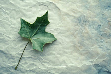 A single green ivy leaf rests on a textured, off-white surface, creating a natural and minimalist...