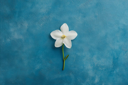 A single, delicate white flower rests on a textured, deep teal blue background. The flower has a...