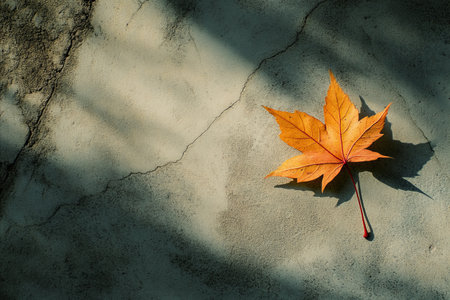 A vibrant orange maple leaf rests on a cracked concrete surface, illuminated by a beam of sunlight...