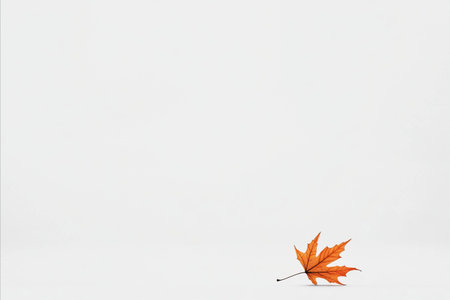 A solitary, brightly colored orange maple leaf rests delicately on a pristine white surface, creating a striking contrast and a sense of minimalist beauty.の写真素材