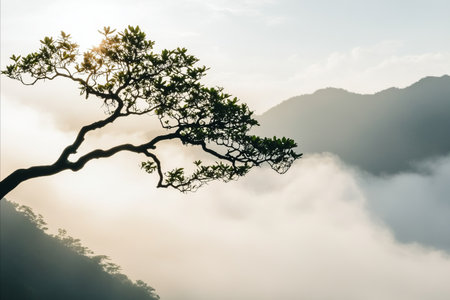 A single tree dramatically silhouetted against a misty mountain landscape at sunrise, showcasing...
