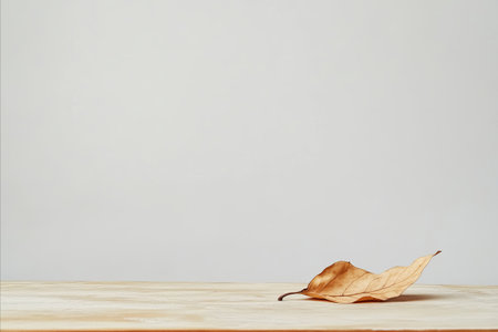 Single dried leaf rests on light wood surface against a white background. Autumnal still life...