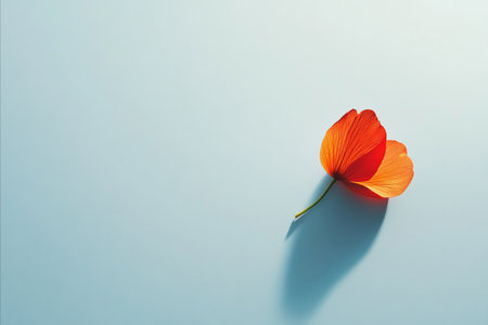 A close-up shot of two orange tulip flowers, their petals fully open, casting a shadow on a light...